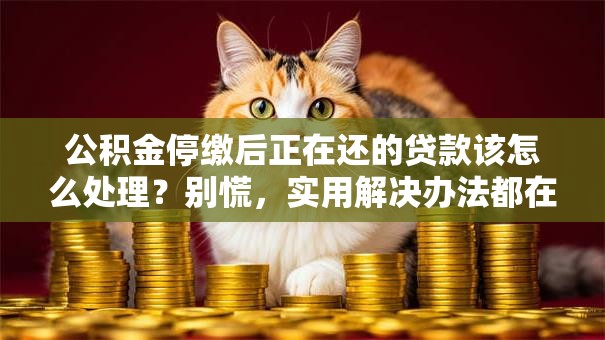 公积金停缴后正在还的贷款该怎么处理？别慌，实用解决办法都在这了