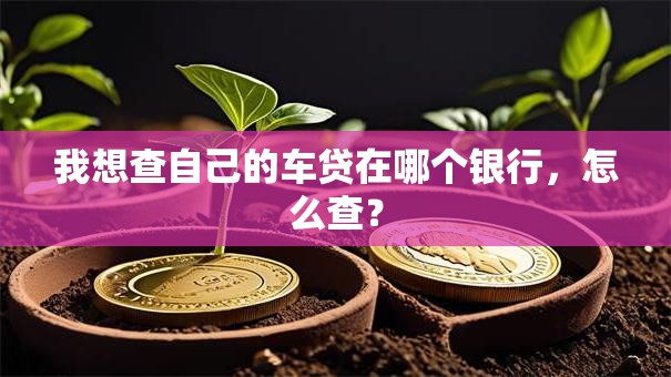 我想查自己的车贷在哪个银行，怎么查？