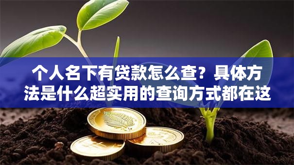 个人名下有贷款怎么查？具体方法是什么超实用的查询方式都在这了