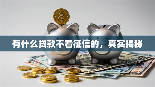 有什么贷款不看征信的，真实揭秘