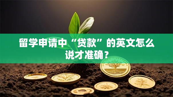 留学申请中“贷款”的英文怎么说才准确？