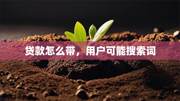 贷款怎么带，用户可能搜索词