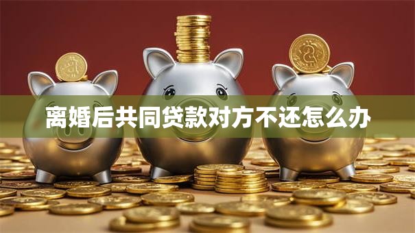 离婚后共同贷款对方不还怎么办