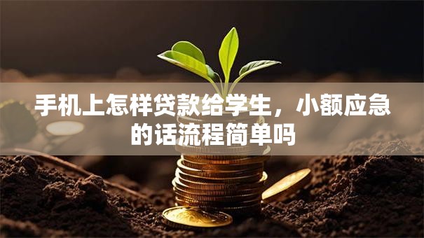 手机上怎样贷款给学生，小额应急的话流程简单吗