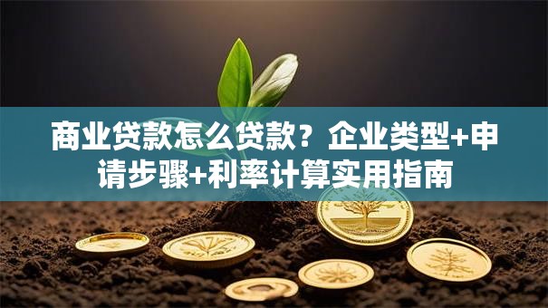 商业贷款怎么贷款？企业类型+申请步骤+利率计算实用指南