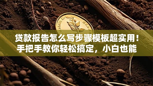 贷款报告怎么写步骤模板超实用！手把手教你轻松搞定，小白也能快速学会