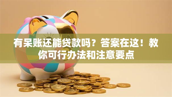 有呆账还能贷款吗？答案在这！教你可行办法和注意要点