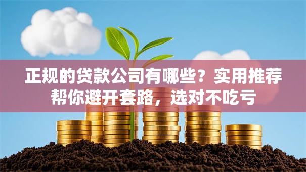 正规的贷款公司有哪些？实用推荐帮你避开套路，选对不吃亏