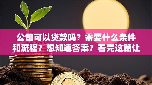 公司可以贷款吗？需要什么条件和流程？想知道答案？看完这篇让你全明白！