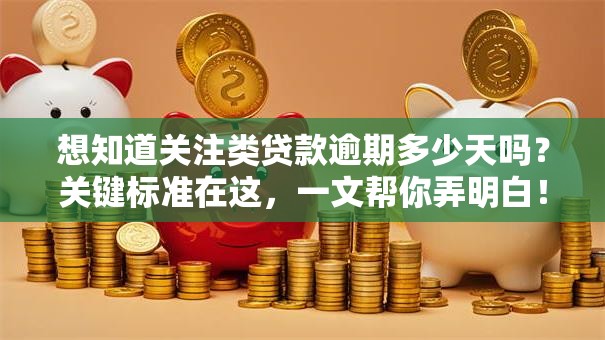 想知道关注类贷款逾期多少天吗？关键标准在这，一文帮你弄明白！
