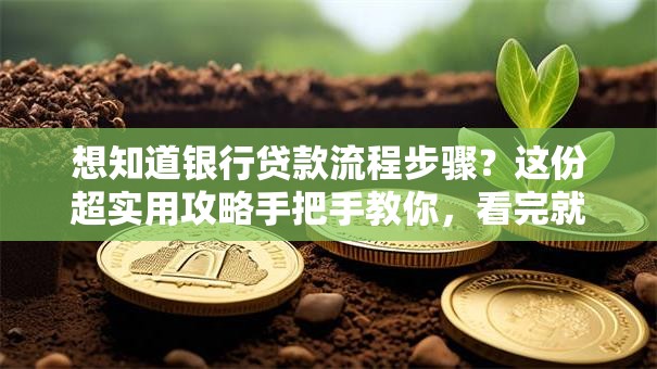 想知道银行贷款流程步骤？这份超实用攻略手把手教你，看完就能懂！