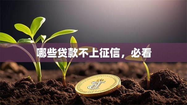 哪些贷款不上征信，必看