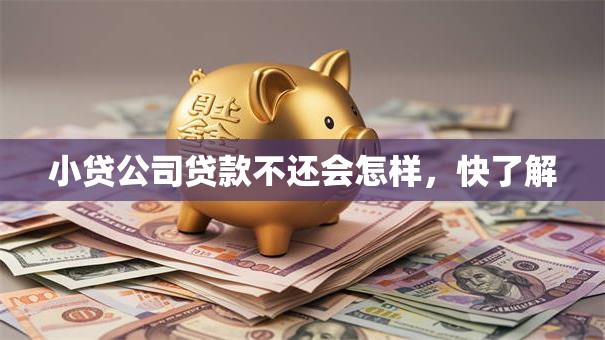 小贷公司贷款不还会怎样，快了解
