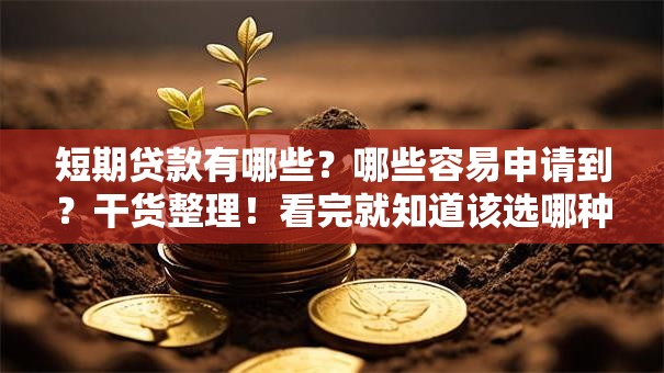 短期贷款有哪些？哪些容易申请到？干货整理！看完就知道该选哪种