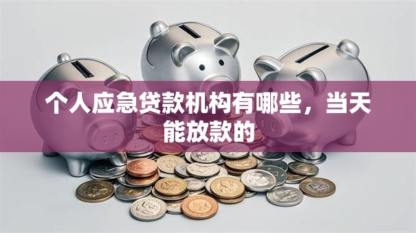个人应急贷款机构有哪些，当天能放款的