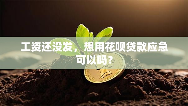 工资还没发，想用花呗贷款应急可以吗？