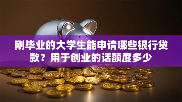 刚毕业的大学生能申请哪些银行贷款？用于创业的话额度多少