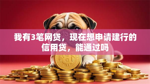 我有3笔网贷，现在想申请建行的信用贷，能通过吗