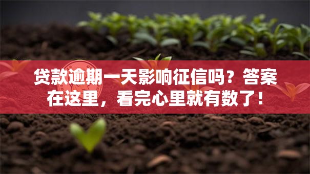 贷款逾期一天影响征信吗？答案在这里，看完心里就有数了！