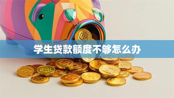 学生贷款额度不够怎么办