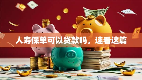 人寿保单可以贷款吗，速看这篇