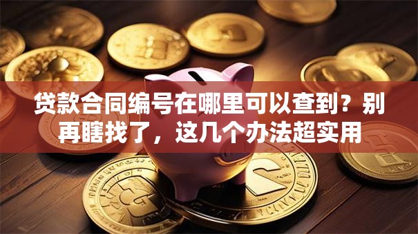 贷款合同编号在哪里可以查到？别再瞎找了，这几个办法超实用