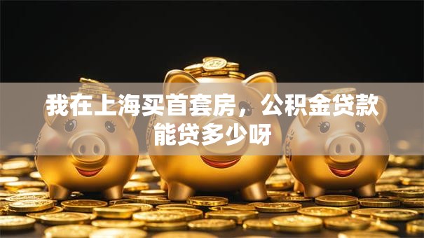 我在上海买首套房，公积金贷款能贷多少呀