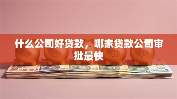 什么公司好贷款，哪家贷款公司审批最快
