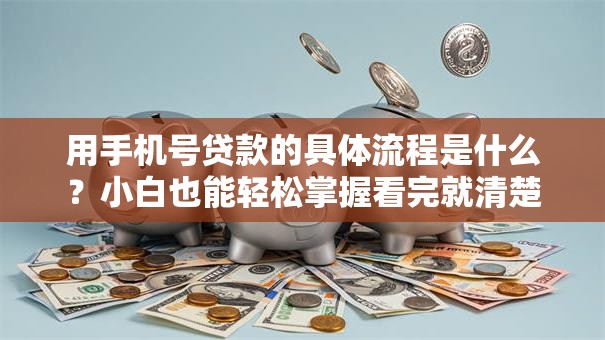 用手机号贷款的具体流程是什么？小白也能轻松掌握看完就清楚