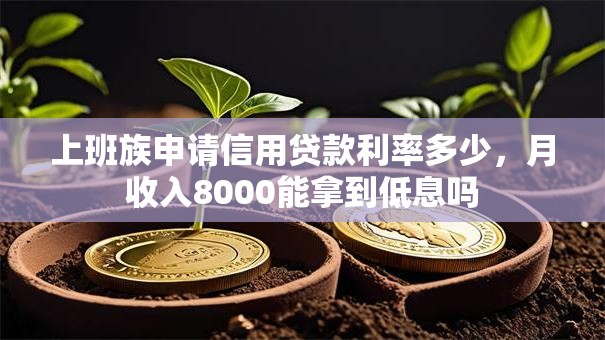 上班族申请信用贷款利率多少，月收入8000能拿到低息吗