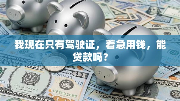 我现在只有驾驶证，着急用钱，能贷款吗？