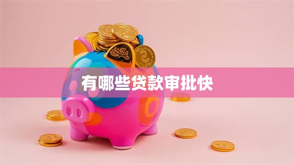 有哪些贷款审批快