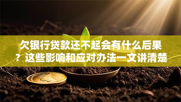 欠银行贷款还不起会有什么后果？这些影响和应对办法一文讲清楚
