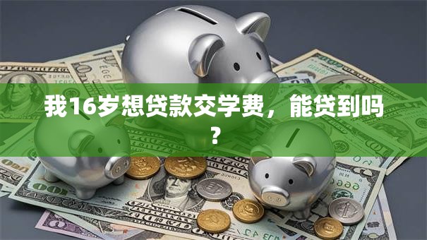 我16岁想贷款交学费，能贷到吗？