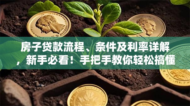 房子贷款流程、条件及利率详解，新手必看！手把手教你轻松搞懂房贷