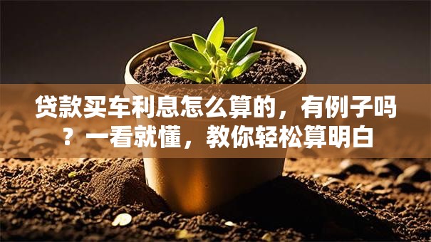 贷款买车利息怎么算的，有例子吗？一看就懂，教你轻松算明白