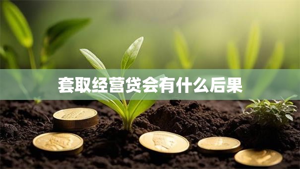 套取经营贷会有什么后果