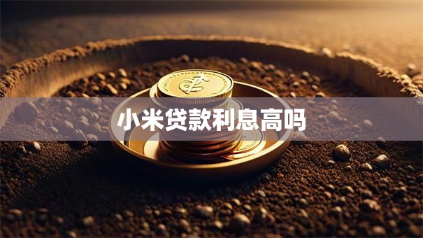 小米贷款利息高吗