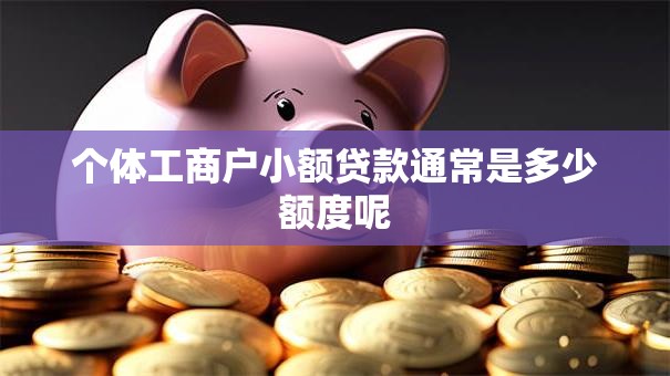 个体工商户小额贷款通常是多少额度呢