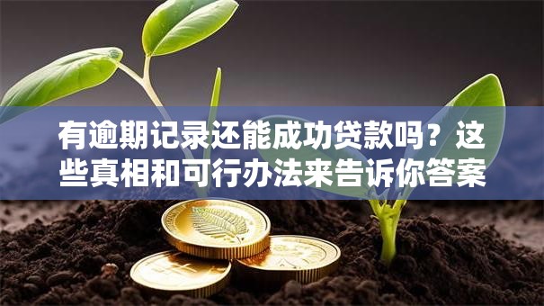 有逾期记录还能成功贷款吗？这些真相和可行办法来告诉你答案