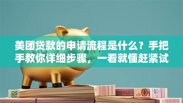 美团贷款的申请流程是什么？手把手教你详细步骤，一看就懂赶紧试试