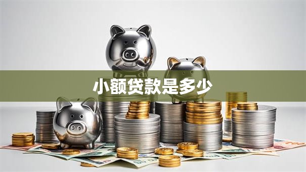 小额贷款是多少