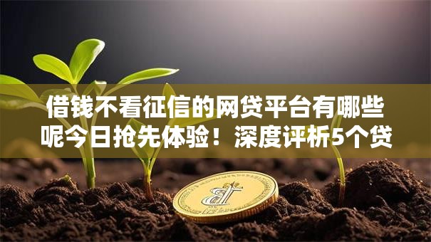 借钱不看征信的网贷平台有哪些呢今日抢先体验！深度评析5个贷款口子不看征信的网贷软件
