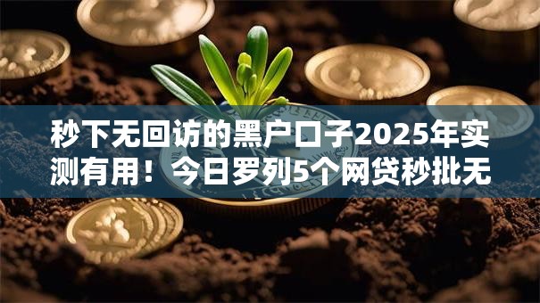 秒下无回访的黑户口子2025年实测有用！今日罗列5个网贷秒批无回访的小软件
