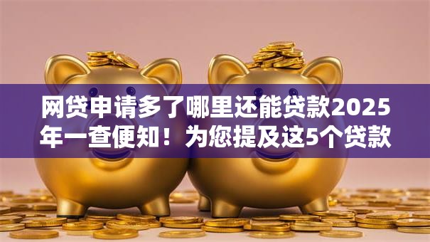 网贷申请多了哪里还能贷款2025年一查便知！为您提及这5个贷款口子大搜索