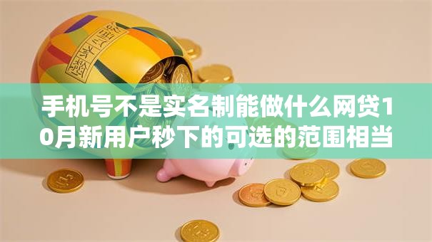 手机号不是实名制能做什么网贷10月新用户秒下的可选的范围相当广！今天全面统计这5个黑户网贷口子！