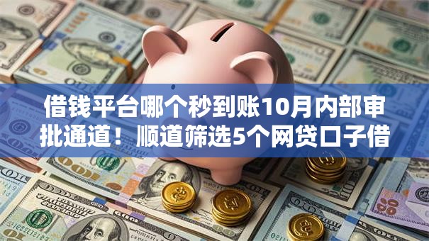 借钱平台哪个秒到账10月内部审批通道！顺道筛选5个网贷口子借款秒到账软件