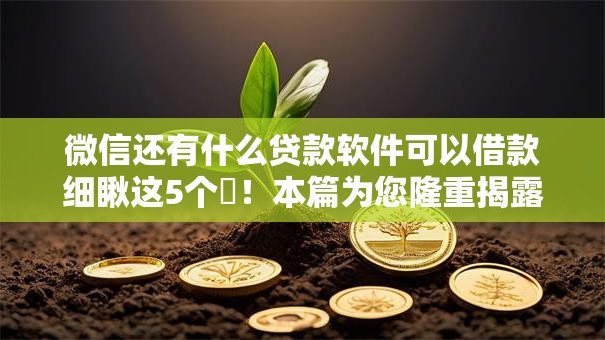 微信还有什么贷款软件可以借款细瞅这5个​！本篇为您隆重揭露！