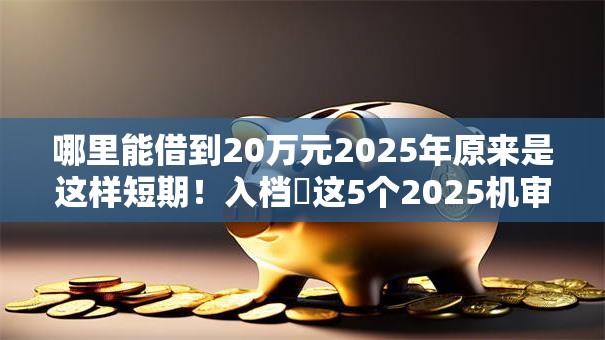 哪里能借到20万元2025年原来是这样短期！入档​这5个2025机审秒下款的网贷