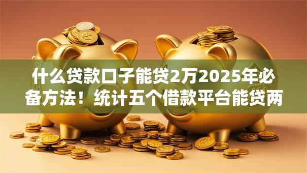什么贷款口子能贷2万2025年必备方法！统计五个借款平台能贷两万